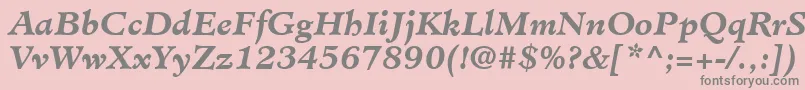 MinisterLtBoldItalic Font – Gray Fonts on Pink Background