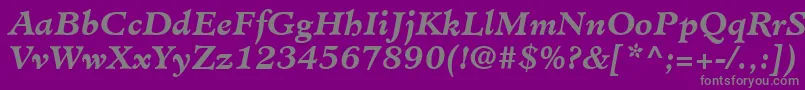 フォントMinisterLtBoldItalic – 紫の背景に灰色の文字