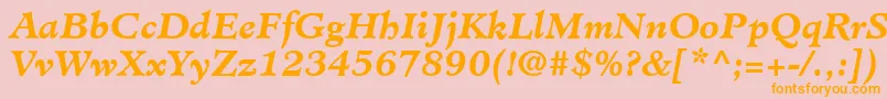 MinisterLtBoldItalic Font – Orange Fonts on Pink Background