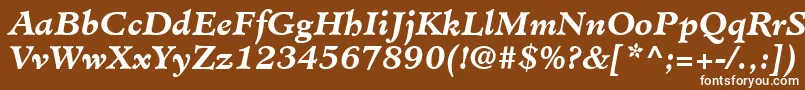 MinisterLtBoldItalic Font – White Fonts on Brown Background