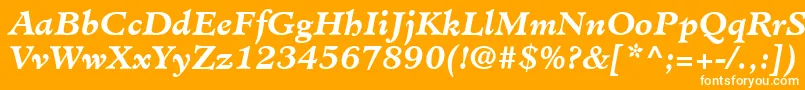 MinisterLtBoldItalic Font – White Fonts on Orange Background