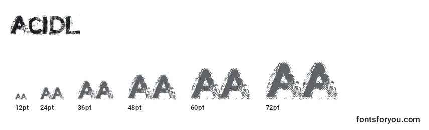 Размеры шрифта Acidl (104088)