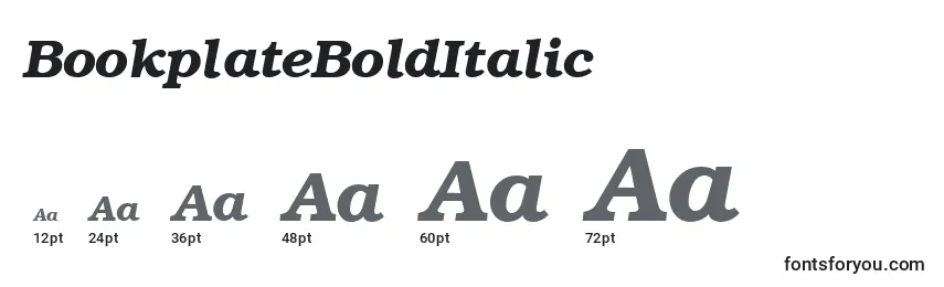 Размеры шрифта BookplateBoldItalic