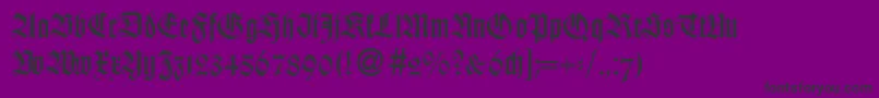 WildordbNormal Font – Black Fonts on Purple Background