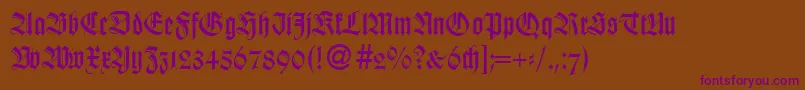 WildordbNormal Font – Purple Fonts on Brown Background