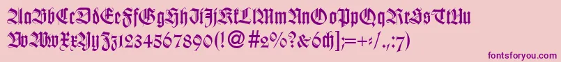 WildordbNormal Font – Purple Fonts on Pink Background