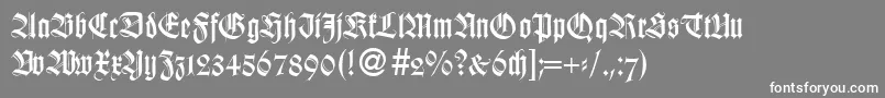WildordbNormal Font – White Fonts on Gray Background