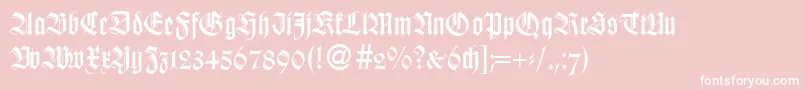 WildordbNormal Font – White Fonts on Pink Background