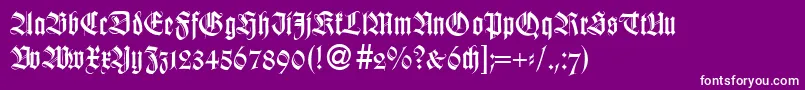 WildordbNormal Font – White Fonts on Purple Background