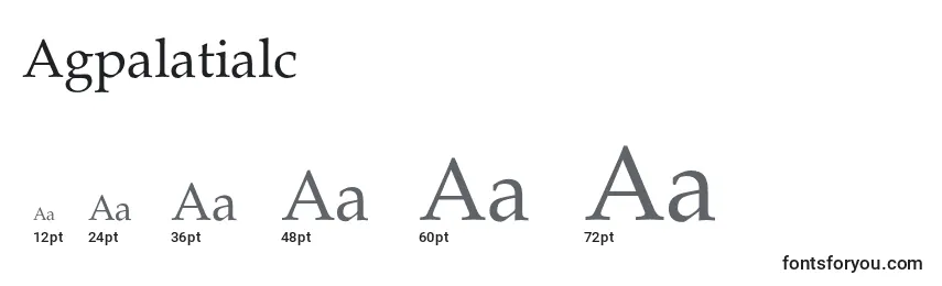 Размеры шрифта Agpalatialc