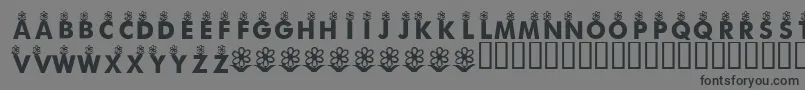 KrFirstBloom Font – Black Fonts on Gray Background