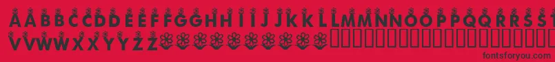 KrFirstBloom Font – Black Fonts on Red Background