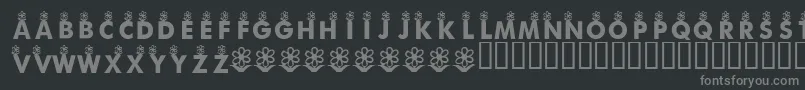 KrFirstBloom Font – Gray Fonts on Black Background