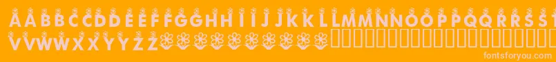 KrFirstBloom Font – Pink Fonts on Orange Background