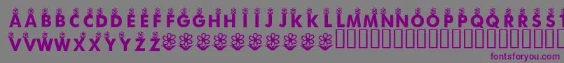 KrFirstBloom Font – Purple Fonts on Gray Background