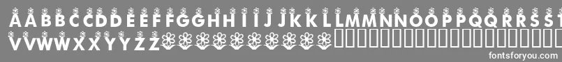 KrFirstBloom Font – White Fonts on Gray Background