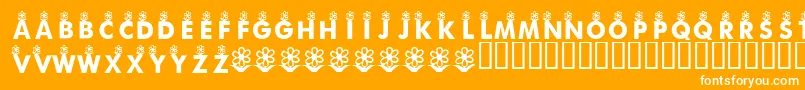 KrFirstBloom Font – White Fonts on Orange Background