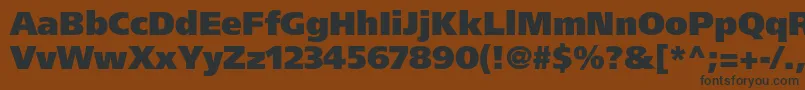 FrutigerLt95UltraBlack Font – Black Fonts on Brown Background