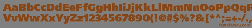 FrutigerLt95UltraBlack Font – Brown Fonts on Gray Background