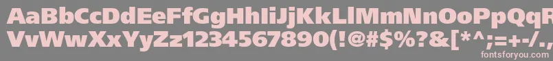 FrutigerLt95UltraBlack Font – Pink Fonts on Gray Background