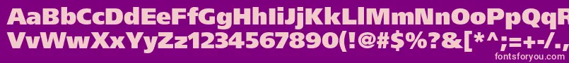 FrutigerLt95UltraBlack Font – Pink Fonts on Purple Background