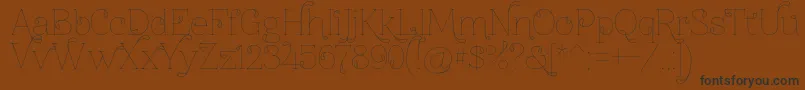 Znikomitno24thin Font – Black Fonts on Brown Background