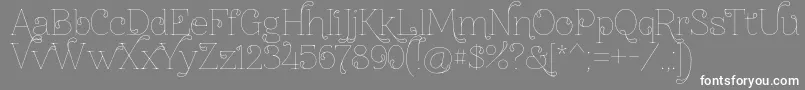 Znikomitno24thin Font – White Fonts on Gray Background