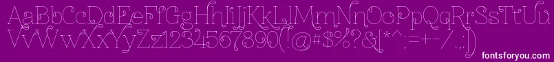 Znikomitno24thin Font – White Fonts on Purple Background