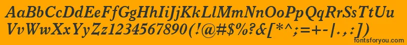 ItalianOldStyleMtBoldItalic Font – Black Fonts on Orange Background