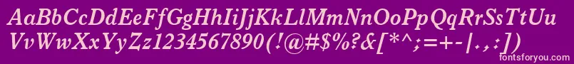 ItalianOldStyleMtBoldItalic Font – Pink Fonts on Purple Background