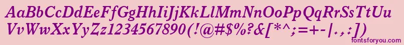 ItalianOldStyleMtBoldItalic Font – Purple Fonts on Pink Background