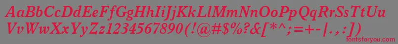 ItalianOldStyleMtBoldItalic Font – Red Fonts on Gray Background