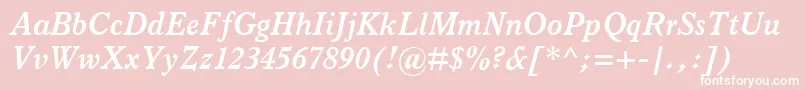 ItalianOldStyleMtBoldItalic Font – White Fonts on Pink Background