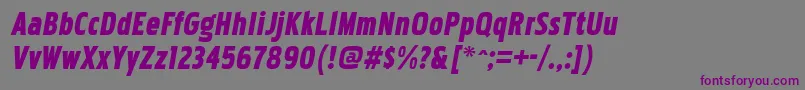 PakenhamcdblItalic Font – Purple Fonts on Gray Background