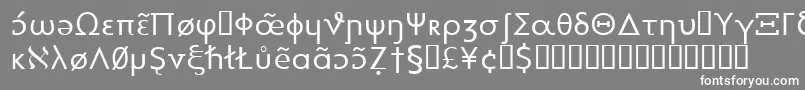 Heytta-Schriftart – Weiße Schriften auf grauem Hintergrund
