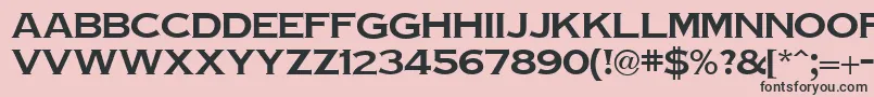 フォントTinplateRegular – ピンクの背景に黒い文字