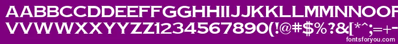 TinplateRegular-fontti – valkoiset fontit violetilla taustalla