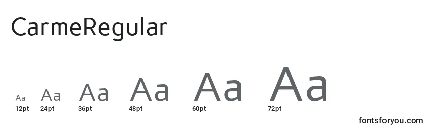 Размеры шрифта CarmeRegular