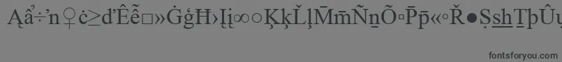TimesNewRomanSpecialG2 Font – Black Fonts on Gray Background