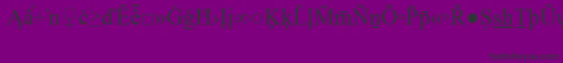 TimesNewRomanSpecialG2 Font – Black Fonts on Purple Background
