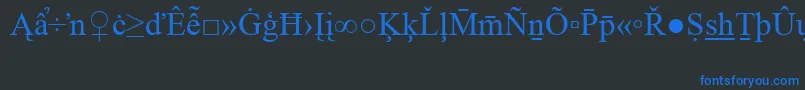 フォントTimesNewRomanSpecialG2 – 黒い背景に青い文字