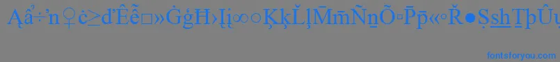 TimesNewRomanSpecialG2 Font – Blue Fonts on Gray Background