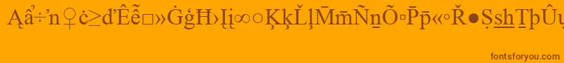 TimesNewRomanSpecialG2 Font – Brown Fonts on Orange Background
