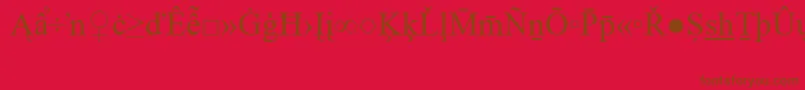 TimesNewRomanSpecialG2 Font – Brown Fonts on Red Background