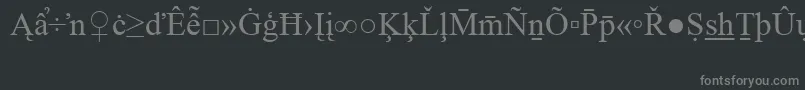 フォントTimesNewRomanSpecialG2 – 黒い背景に灰色の文字