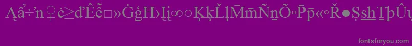 フォントTimesNewRomanSpecialG2 – 紫の背景に灰色の文字