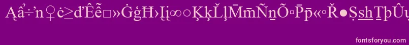 TimesNewRomanSpecialG2-Schriftart – Rosa Schriften auf violettem Hintergrund