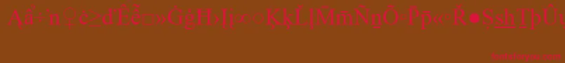TimesNewRomanSpecialG2 Font – Red Fonts on Brown Background