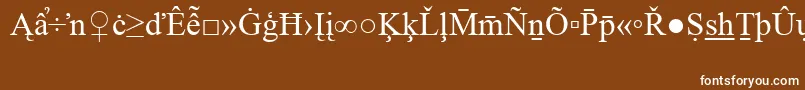 TimesNewRomanSpecialG2 Font – White Fonts on Brown Background