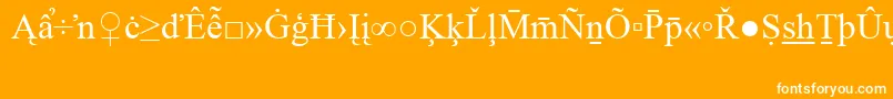 TimesNewRomanSpecialG2-Schriftart – Weiße Schriften auf orangefarbenem Hintergrund